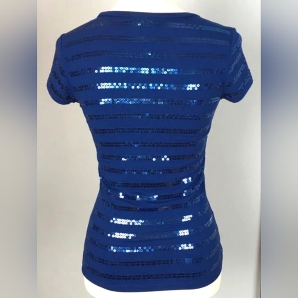 Ann Taylor Petites, Fitted, Blue Sequin, Scoop Neck Top, Size Med/Petite - Picture 2 of 7